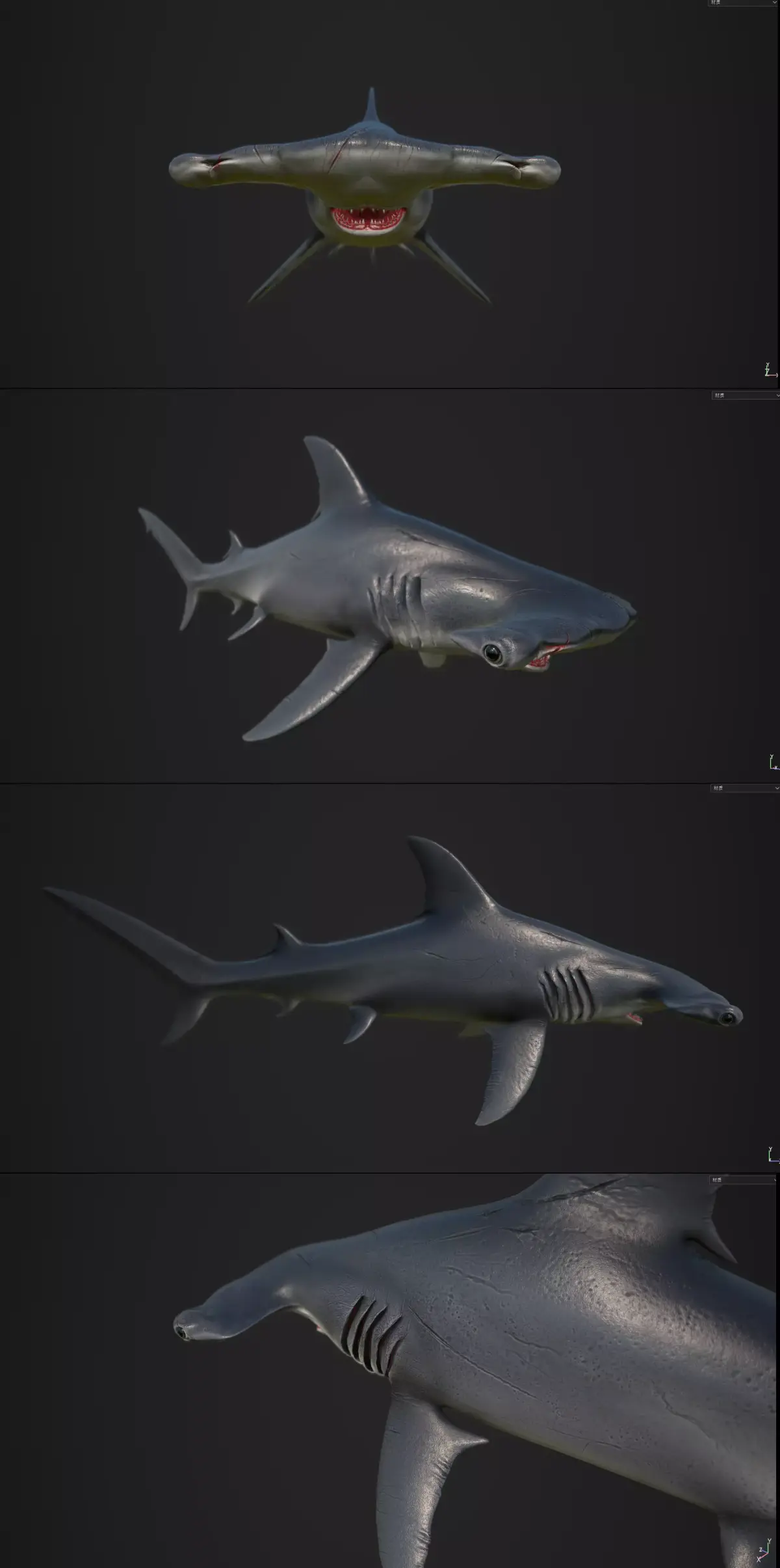 hammerhead shark Low-poly 3D model 7