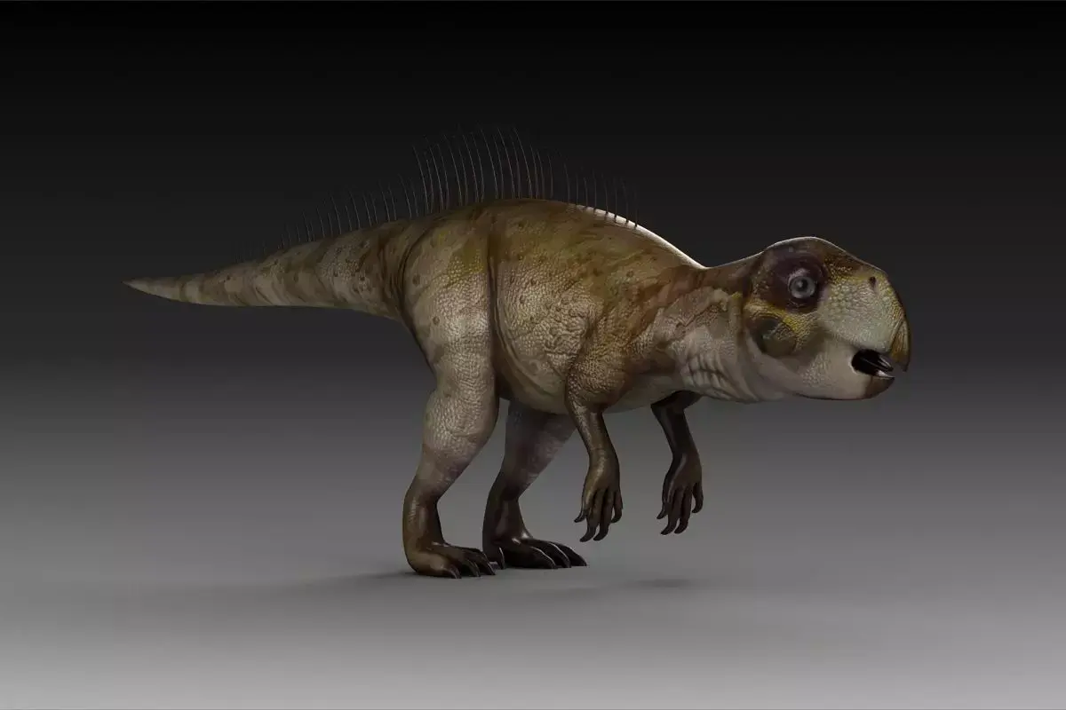 plant-eating Dinosaur Psittacosaurus an ancient Psittacosauridae 3D model