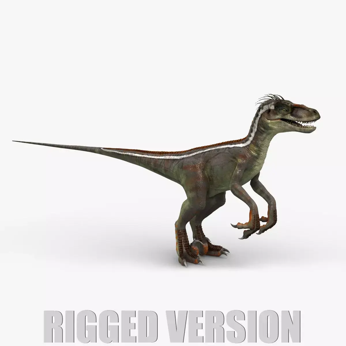 Velociraptor RIGGED 3D model purchase