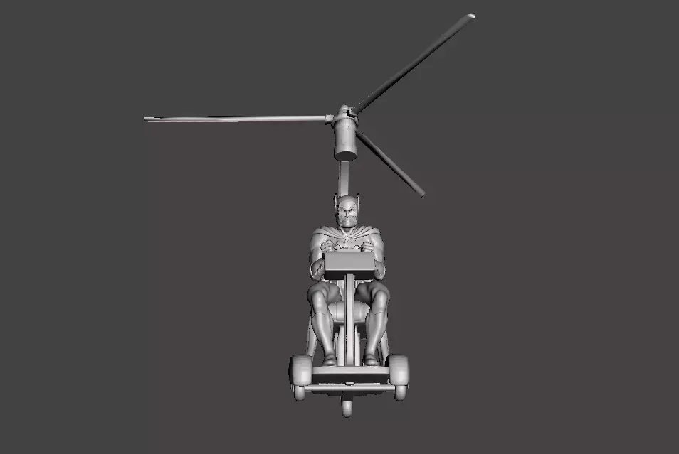 The Whirley Bat 3D model