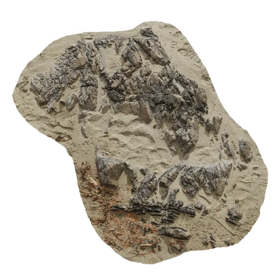  Medium Low Jagged Beach Rock Model  purchase
