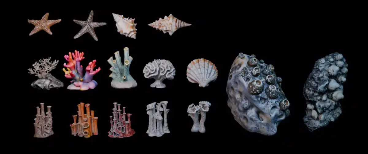 Reef Asset Pack Low-poly 3D model