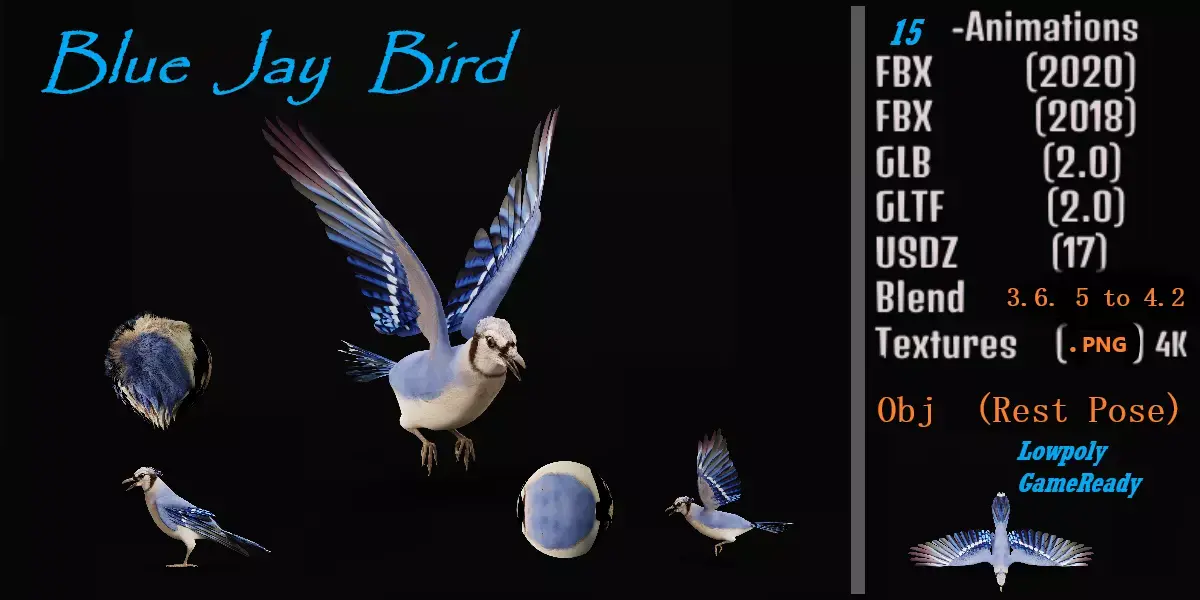 Blue Jay Bird Low-poly 3D model