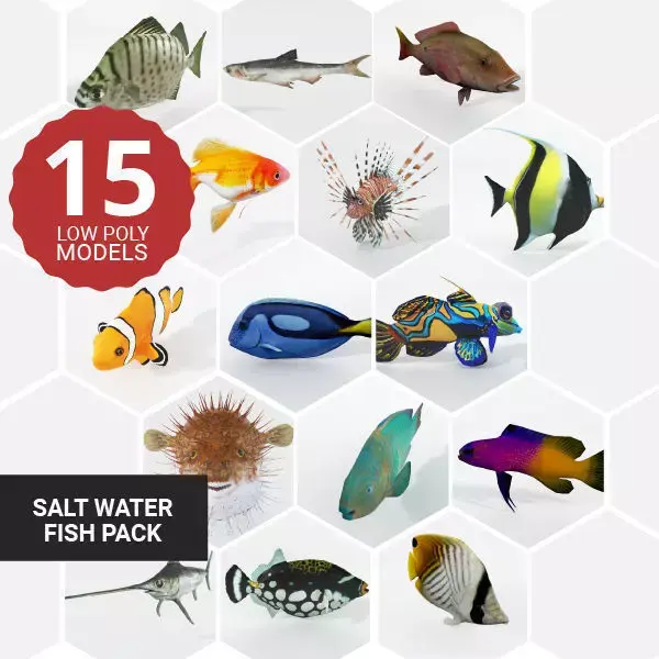 15 Saltwater Fish Pack Low-poly 3D model