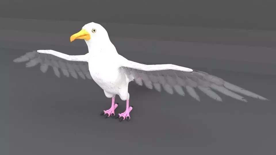 Seagull with wings spread Low-poly 3D model