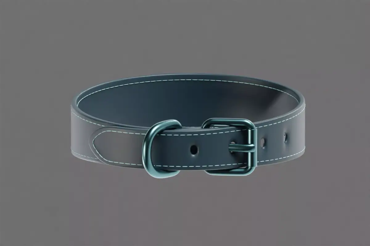 Dog Collar  Low-poly 3D model purchase