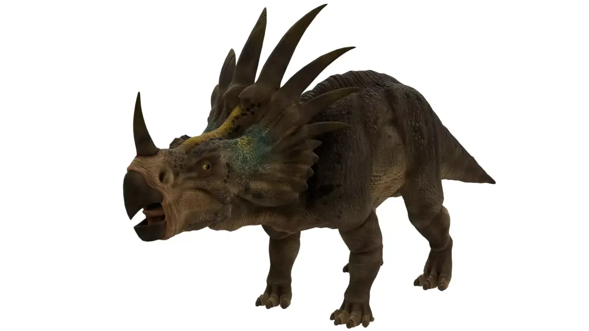 Styracosaurus 3D model purchase