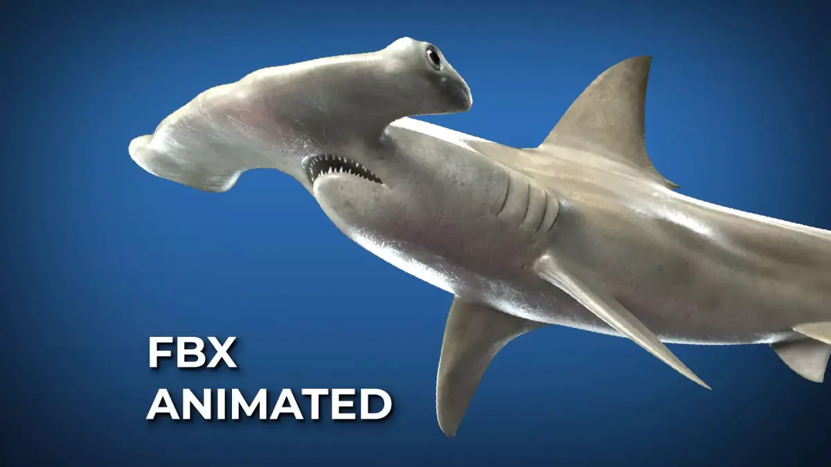 Hammerhead Shark with 3DS Max Octane Support Low-poly 3D model