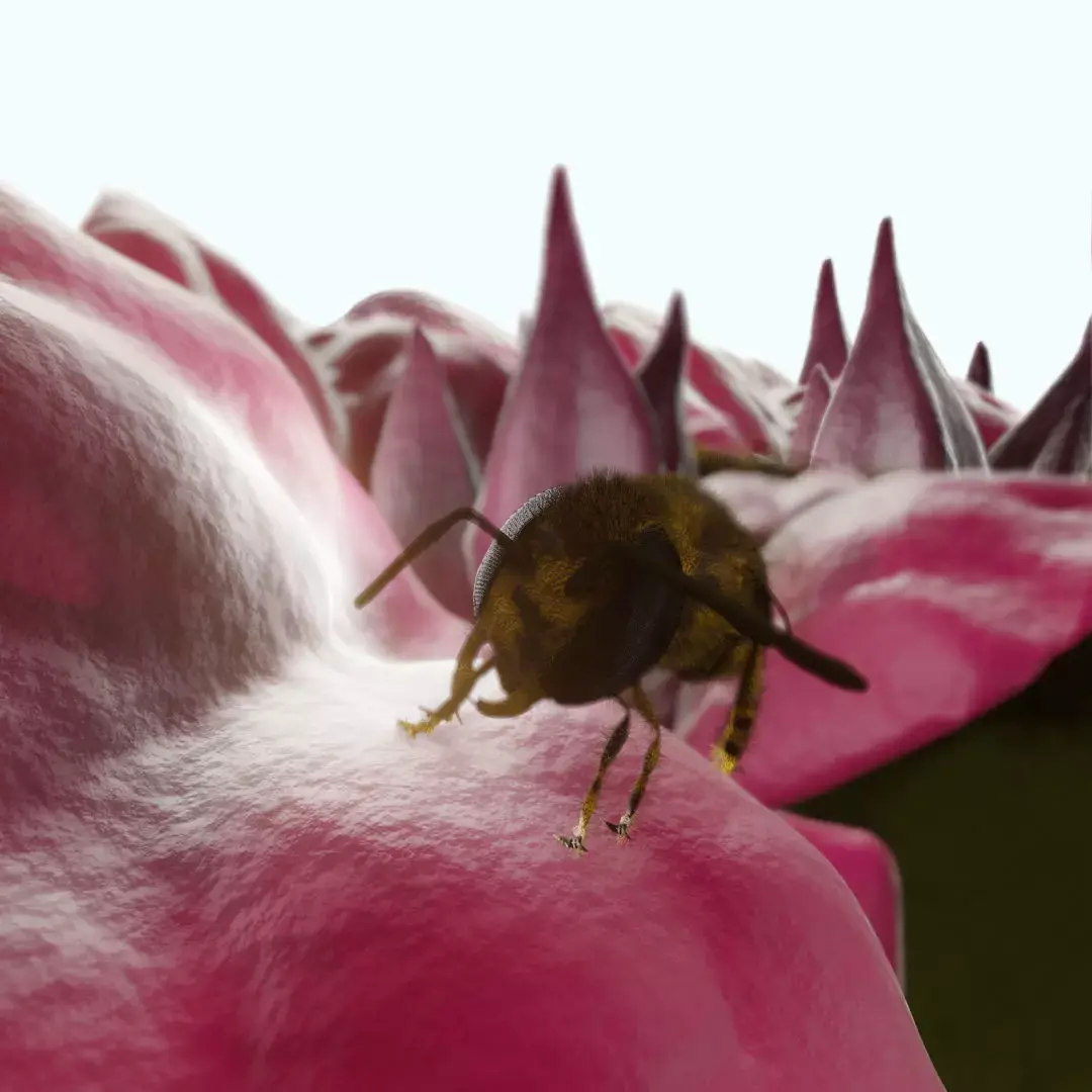 Bouganville flower with hornet 3D model