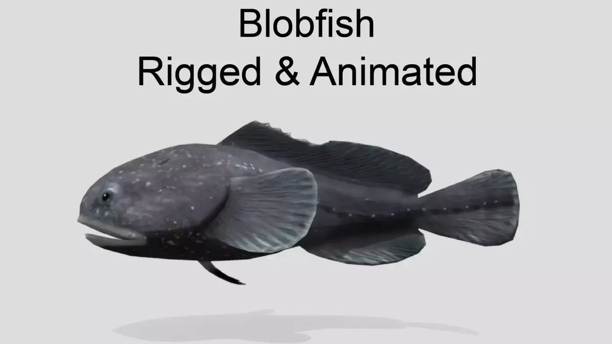 Blobfish Realistic Animated Low-poly 3D model