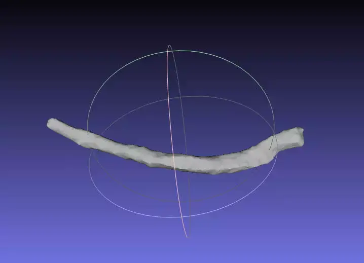 Psittacosaurus Right Dorsal Rib 1 Mirrored Free 3D print model