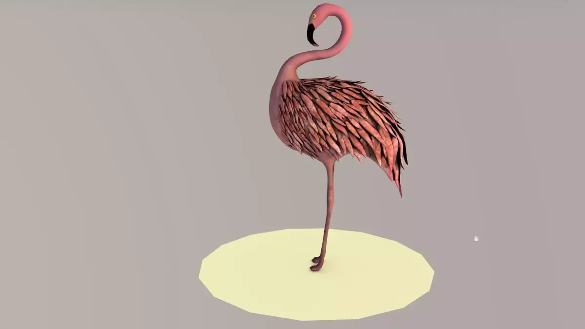 Flamingo 3D model order