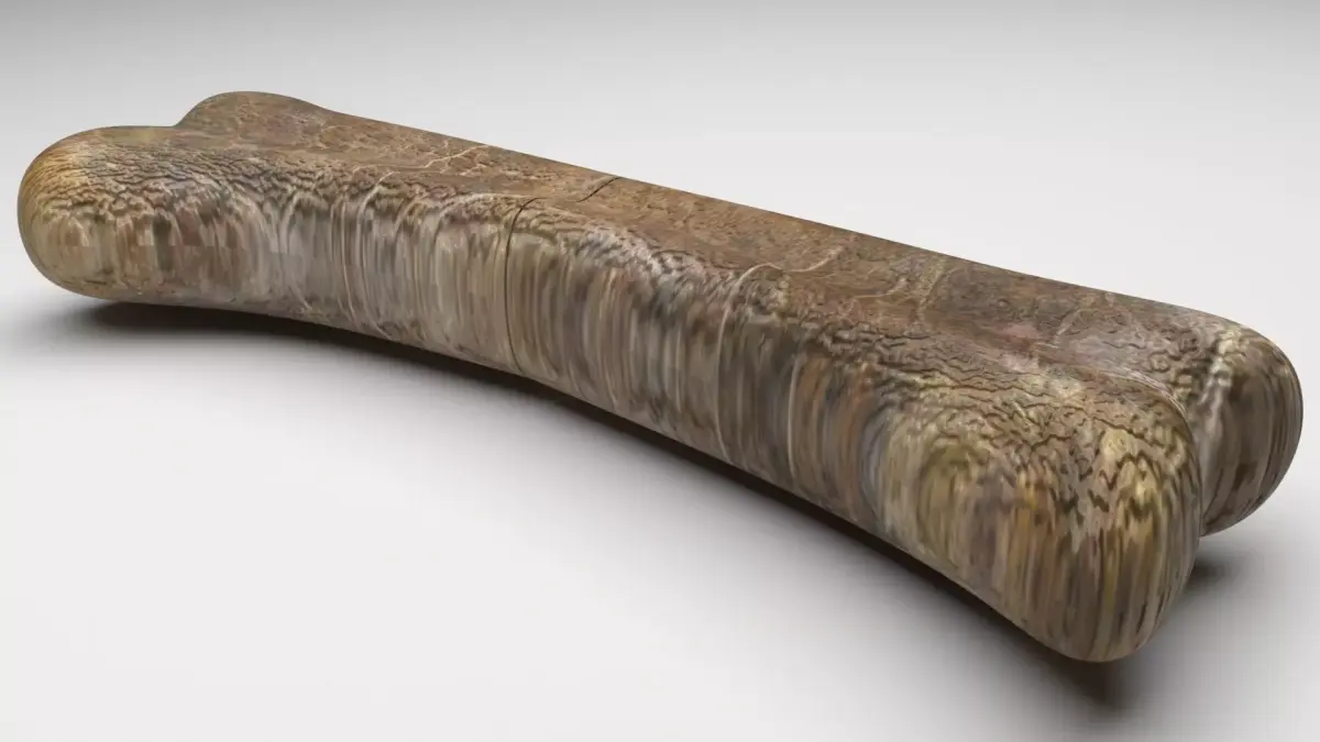 Triceratops Bone 3D model purchase