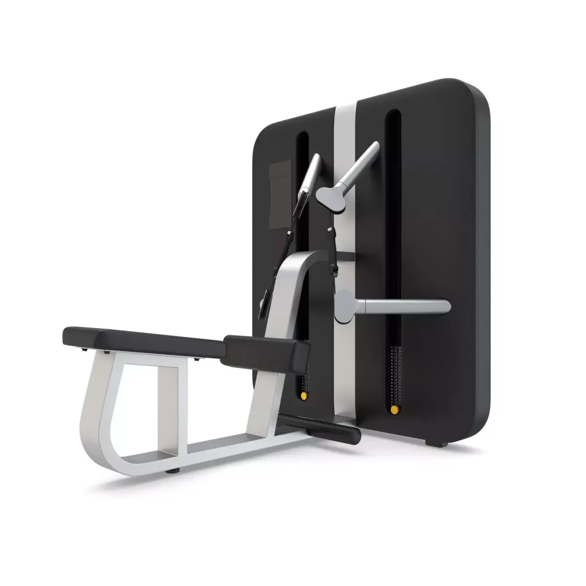 Technogym - Functional Training - Low Pull 3D model