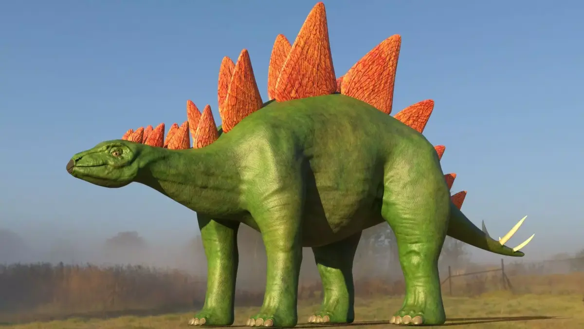 Stegosaurus Low-poly 3D model get