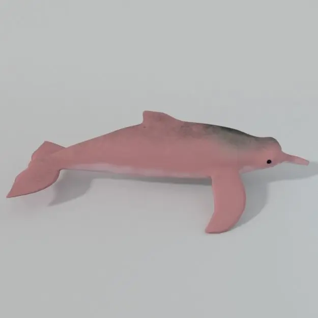 Pink Dolphin Low-poly 3D model