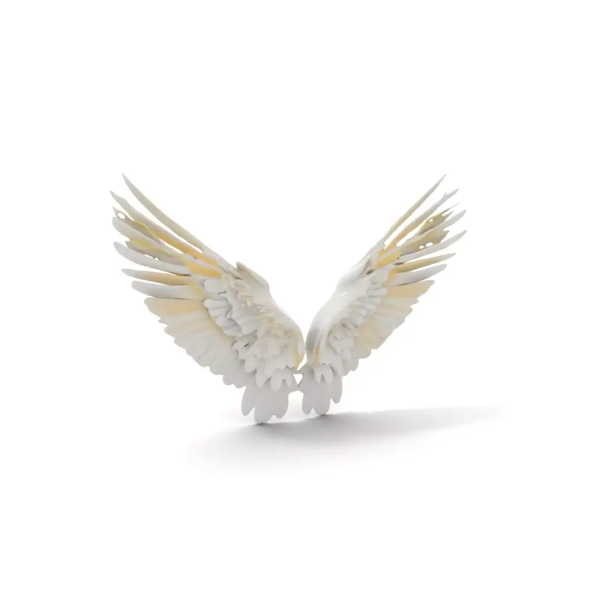 Elegant White Wings model pack Low-poly 3D model