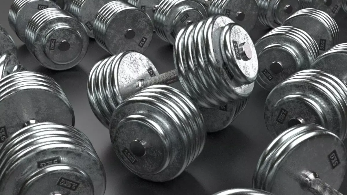 A set of 20 dumbbells from 5 to 100 kg 3D model