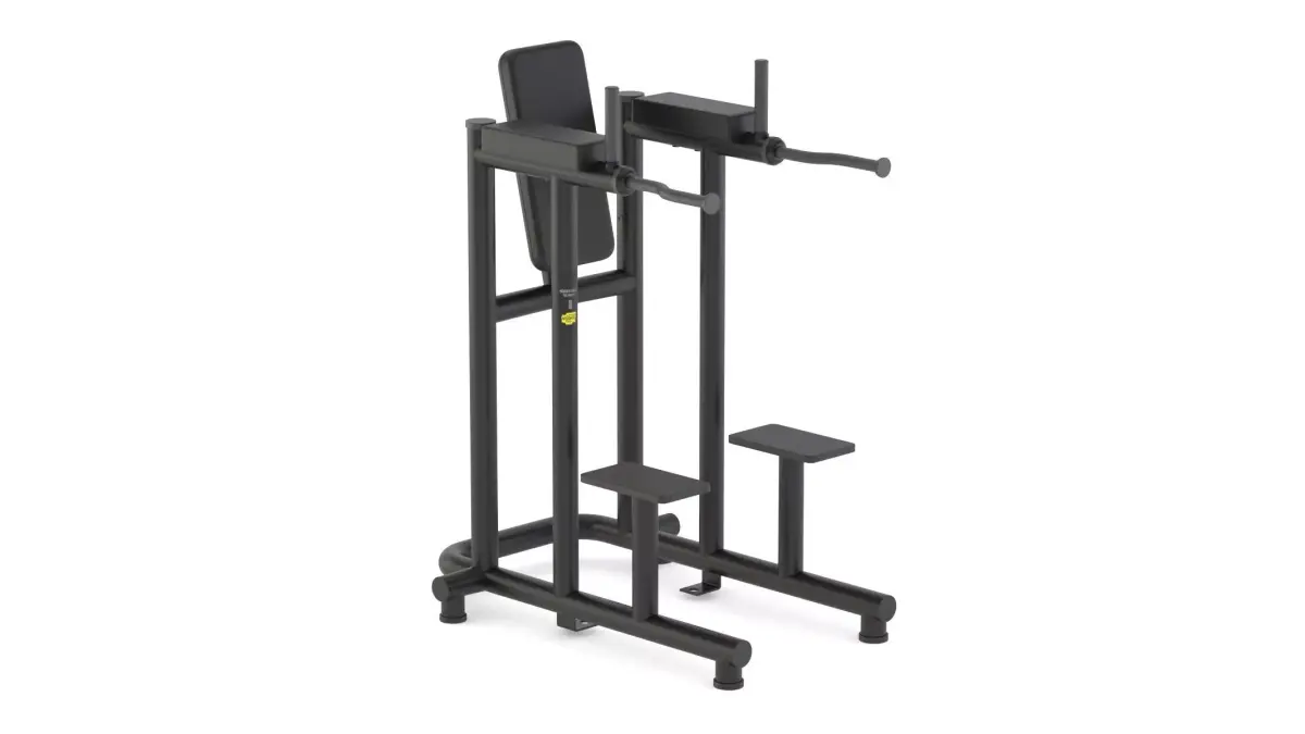 Technogym Bench Leg Raise Dip 3D model