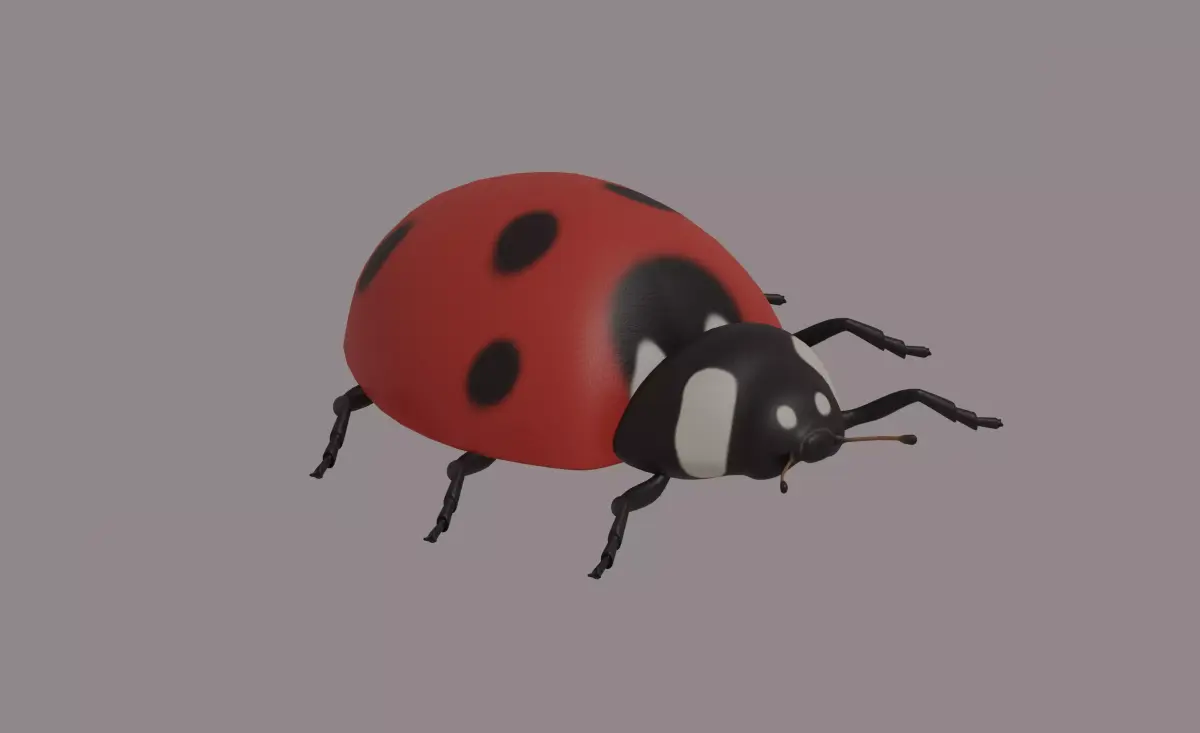 Ladybug 3D model order