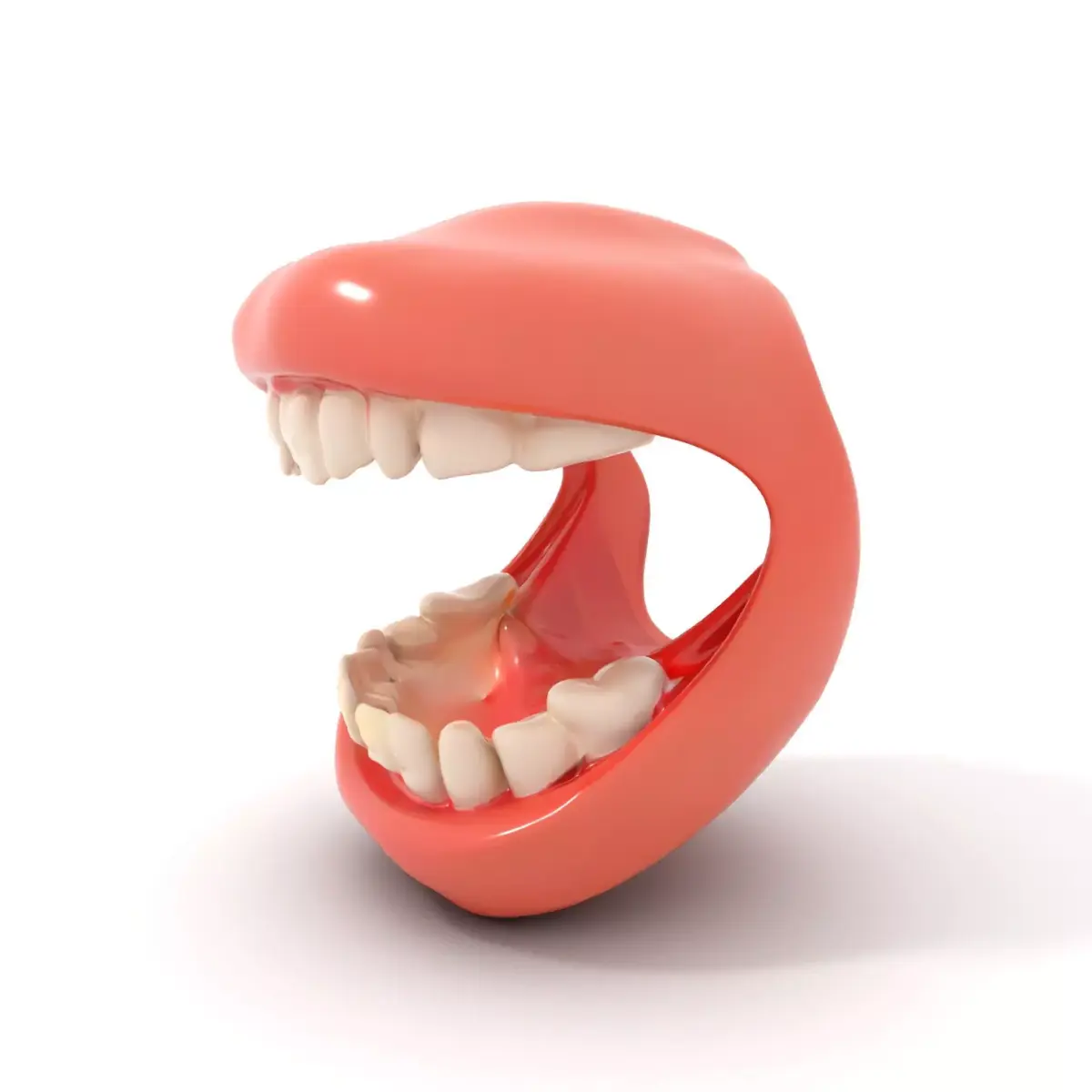 Realistic Teeth and Gums model pack Low-poly 3D model