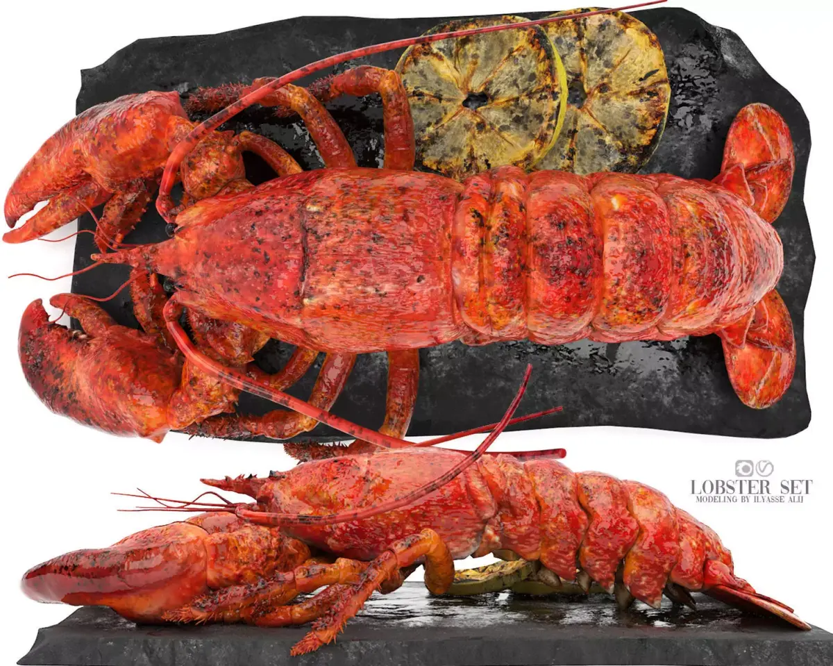 lobster set on slate 3D model
