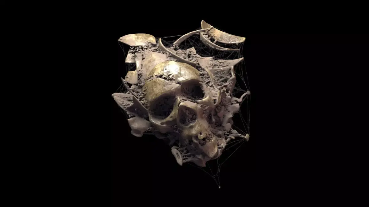 Broken Skull with Spider webs 1 3D model