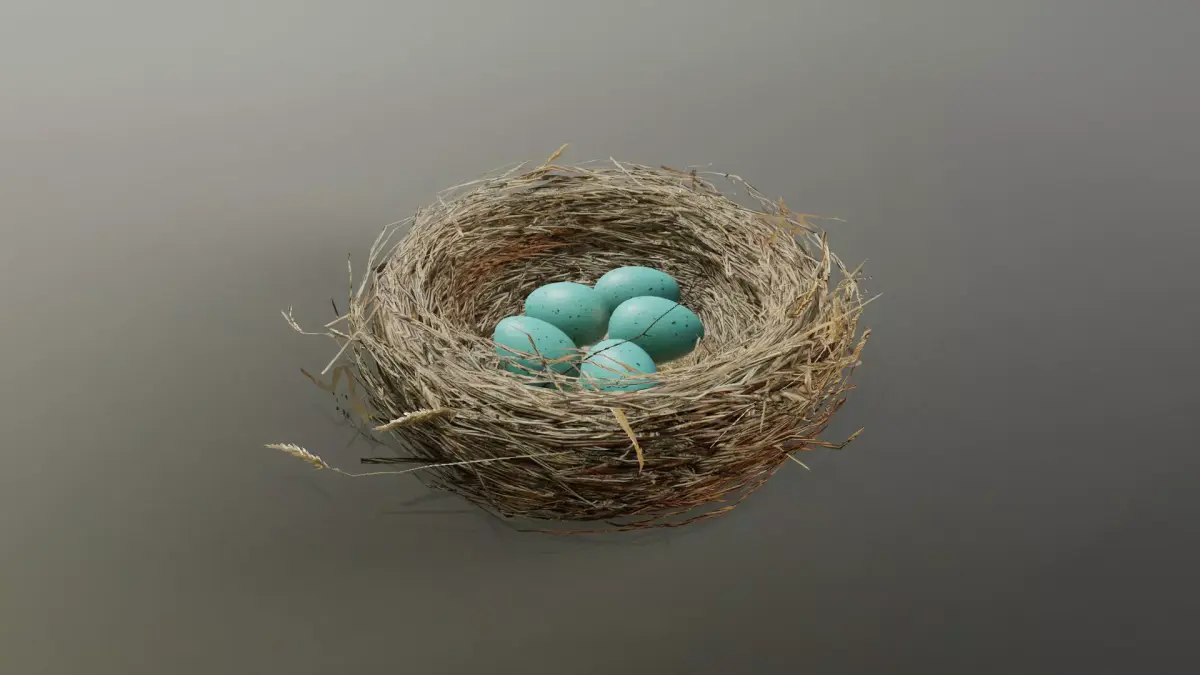 Bird Nest 3D model 3