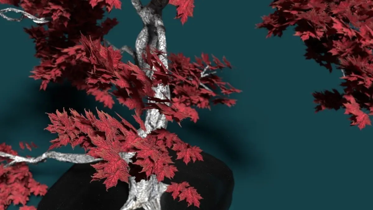 High Polly multi part Bonsai Maple 3D model 3D model