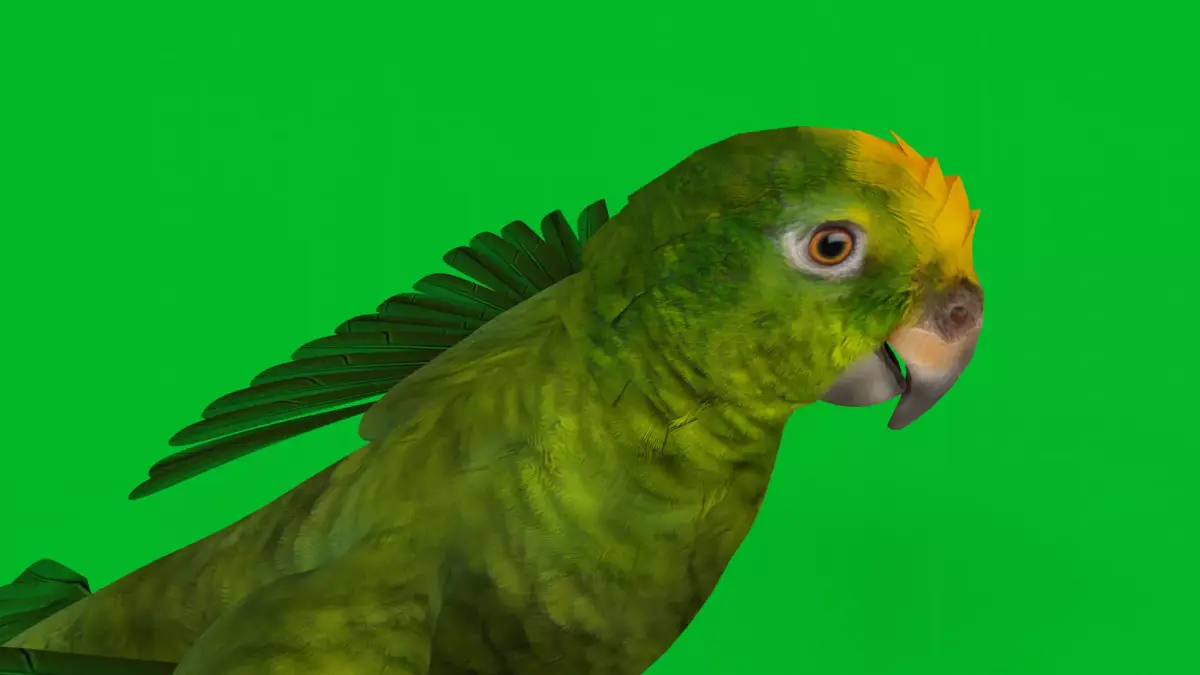 Yellow Crowned Amazon Parrot Bird Low-poly 3D model
