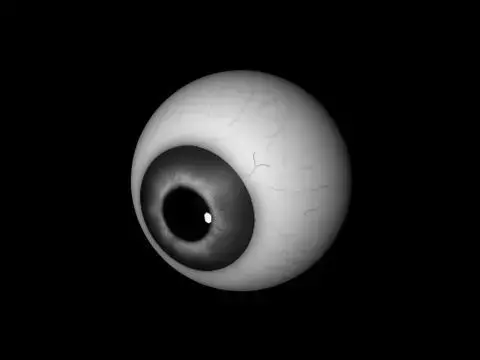 Grey eyes Free low-poly 3D model purchase