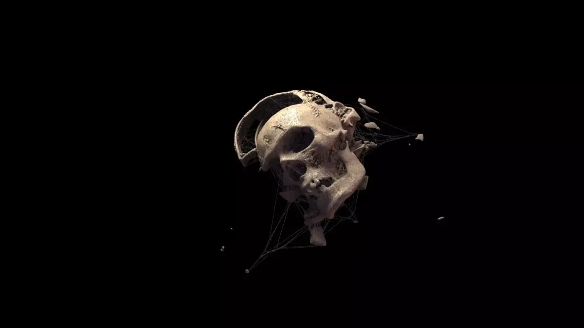 Broken Skull with Spider webs 3 3D model
