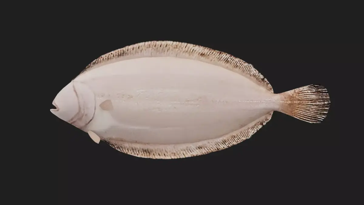 Flatfish Low-poly 3D model