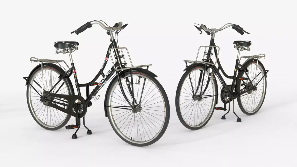 Black Vintage City Bicycle 3D model
