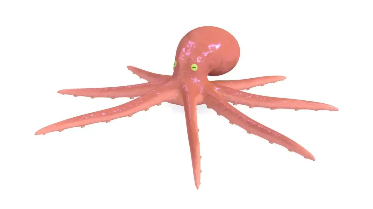 Octopus Rigged 3D model