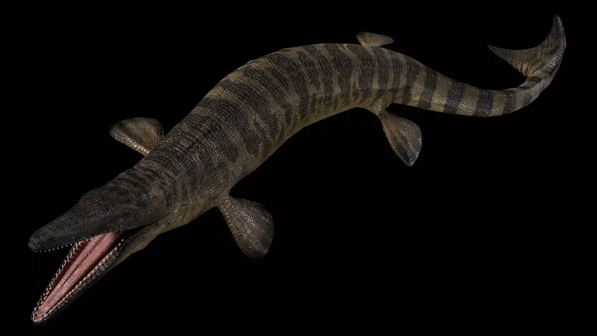 Tylosaurus Asset Pack 3D model