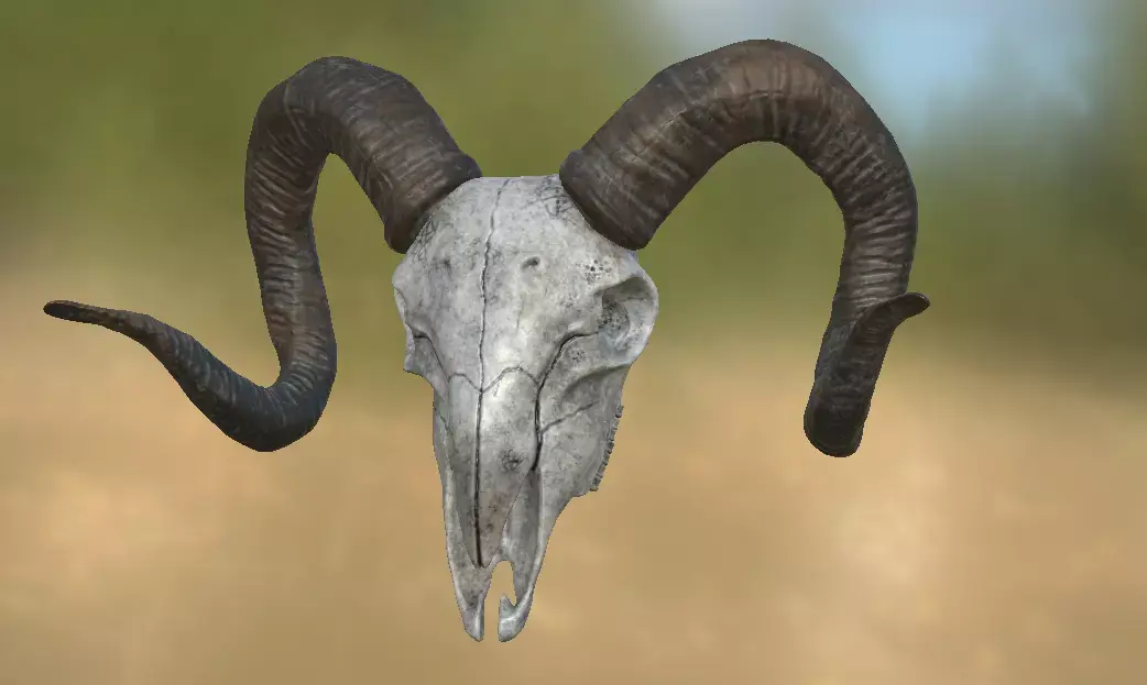 Goat Skull 3D model