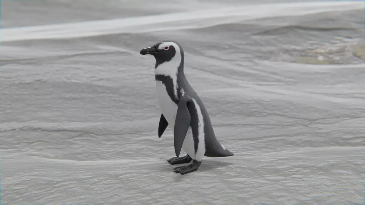 African penguin Low-poly 3D model