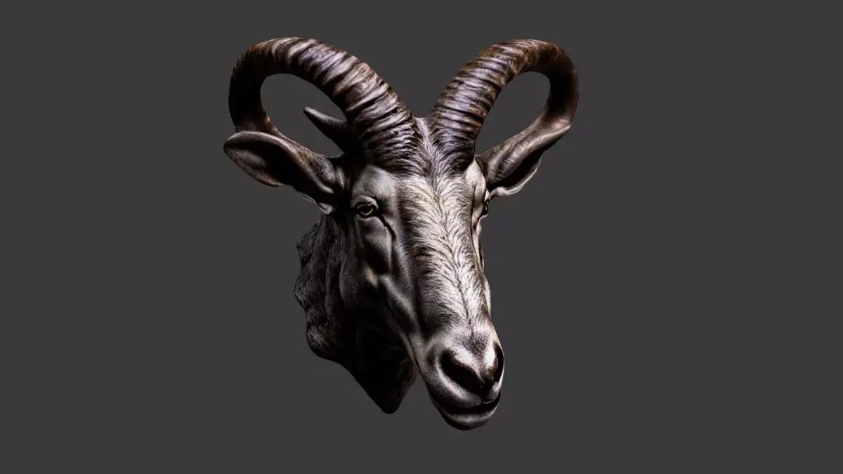 Deer Animal Head Low-poly 3D model 8