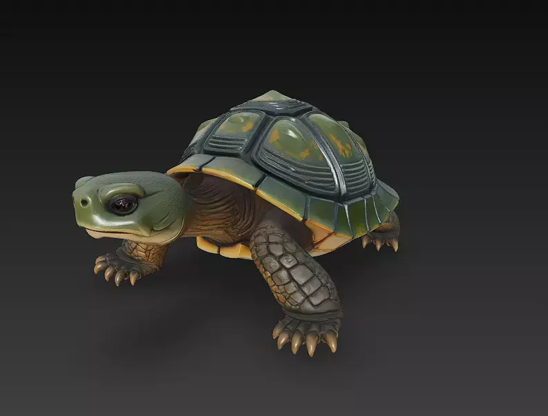 Turtle Realistic 3D Model - Low Poly Realistic Low-poly 3D model purchase