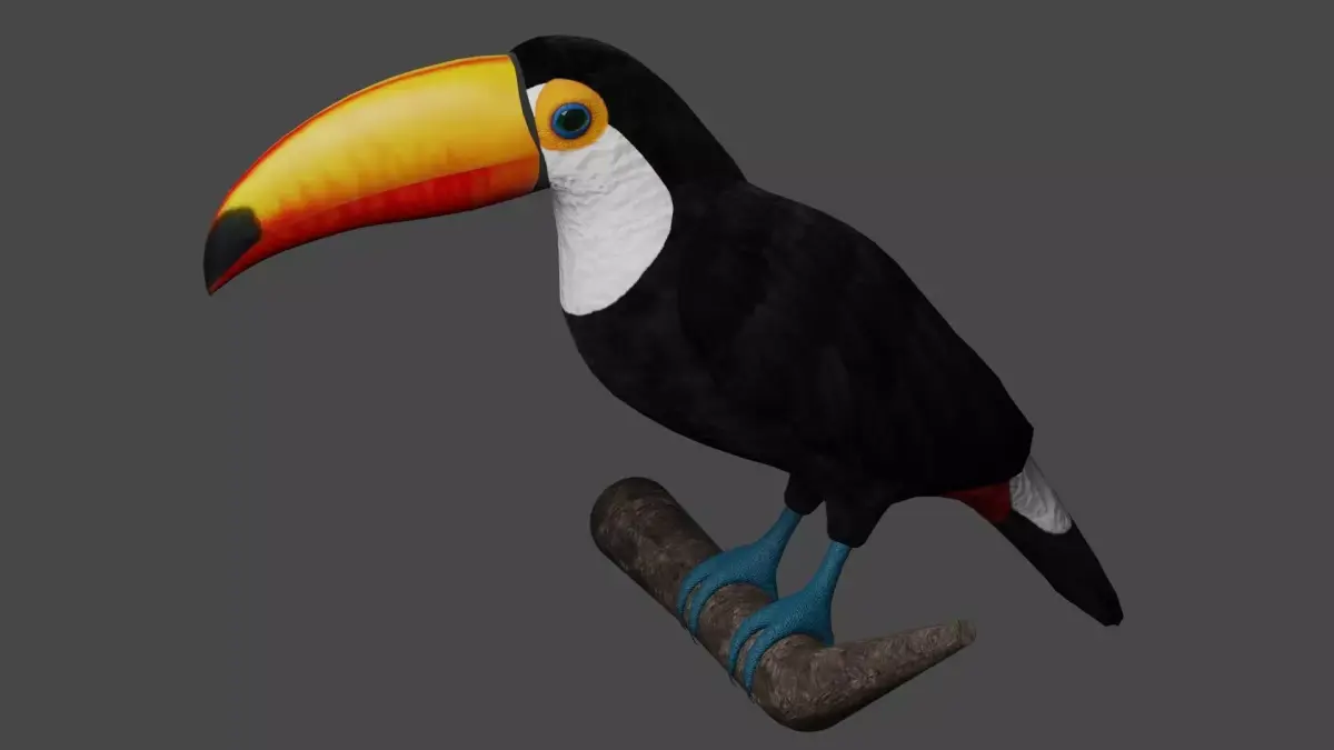Toucan Ramphastos Toco Low-poly 3D model