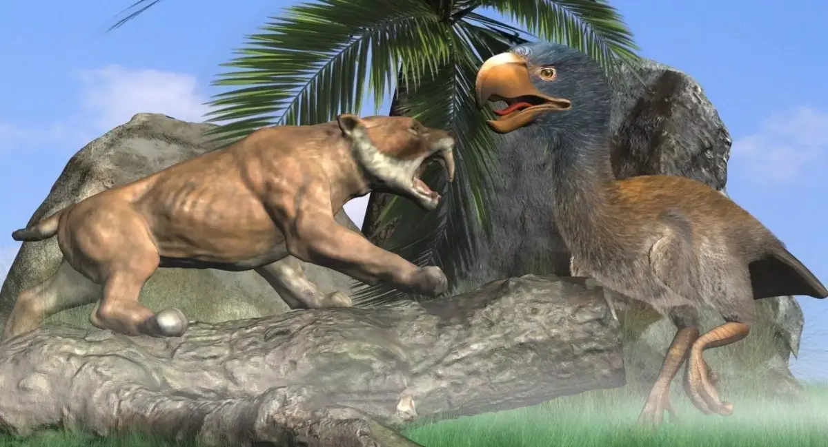 Titanis Walleri - Terror Bird RIGGED and ANIMATED vs Smilodon Low-poly 3D model