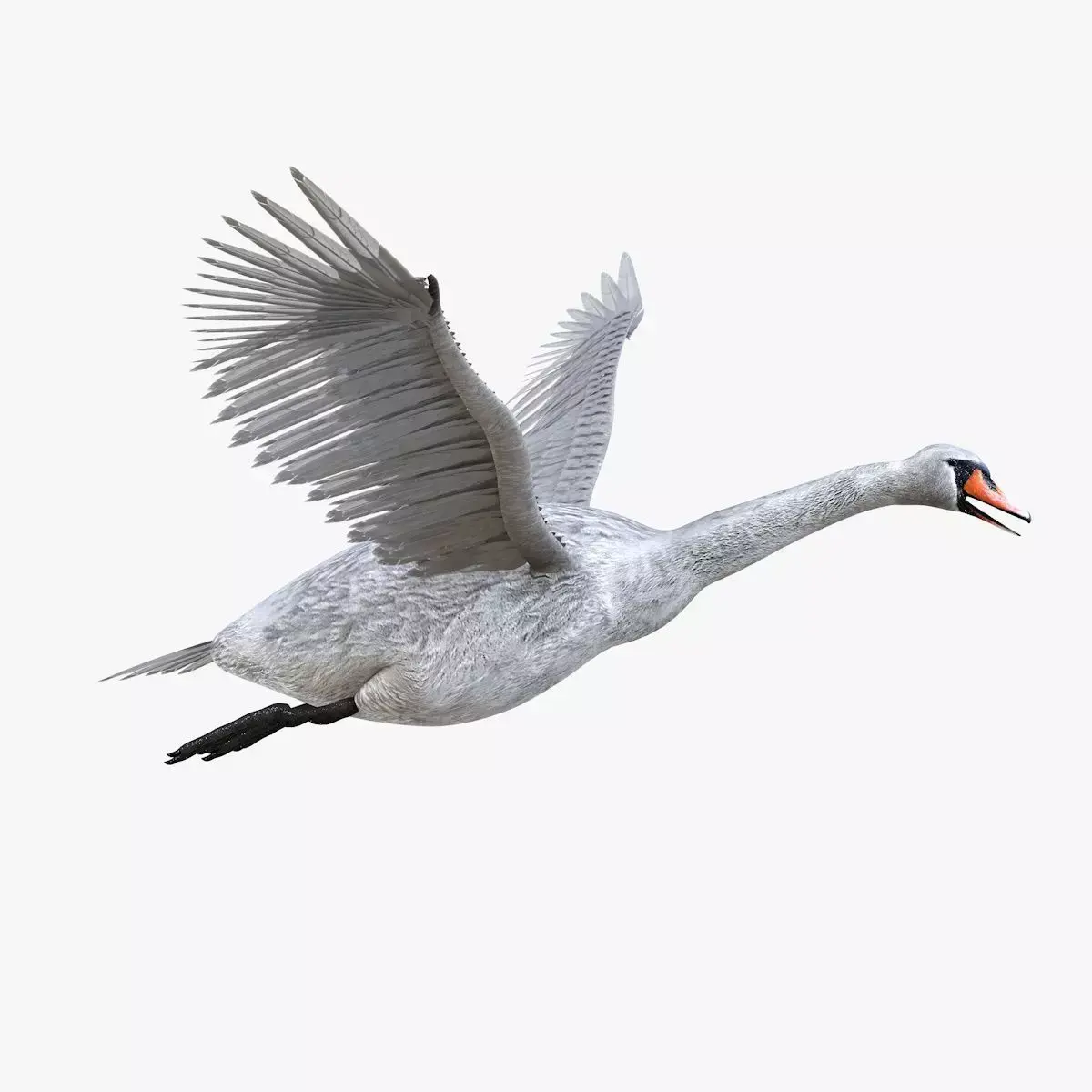 Swan bird rigged 3d model Low-poly 3D model