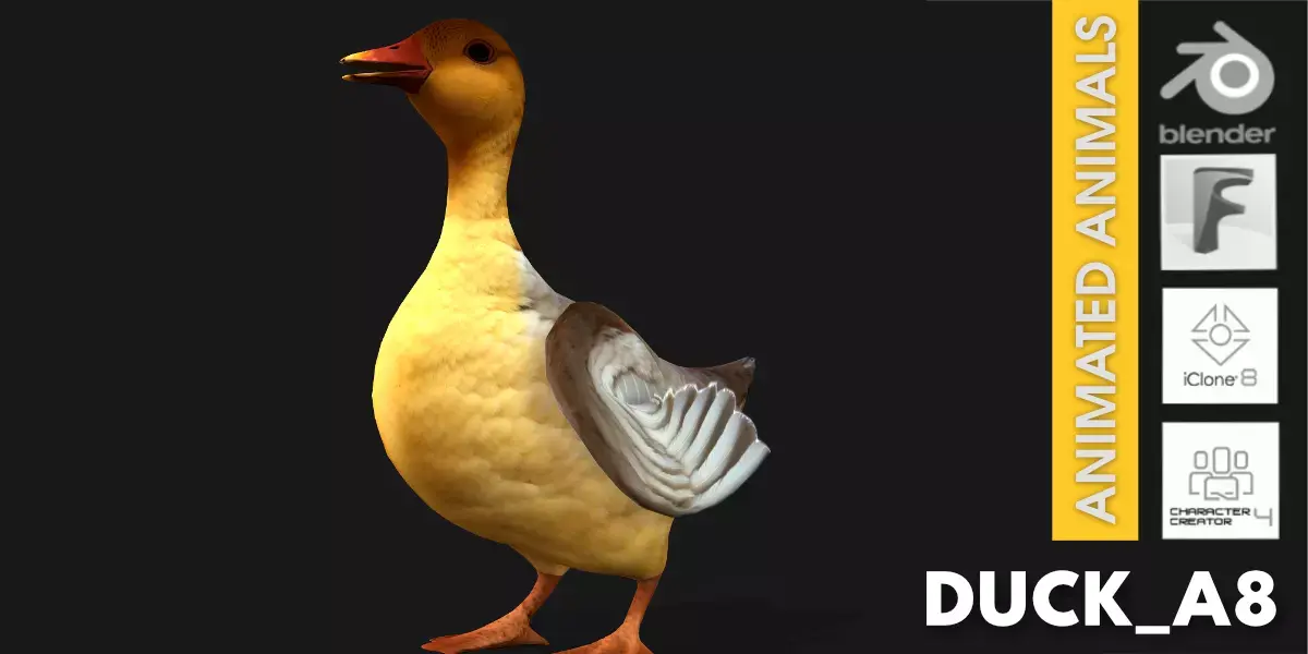 Duck A8 Free low-poly 3D model