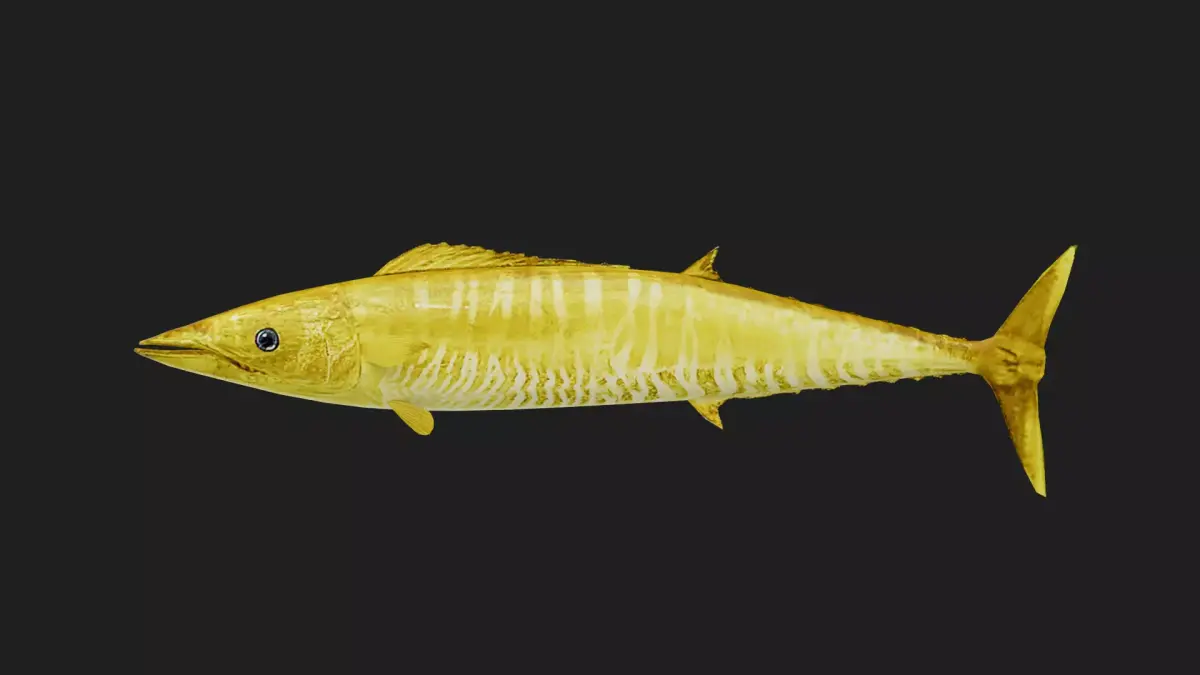 Wahoo Low-poly 3D model purchase