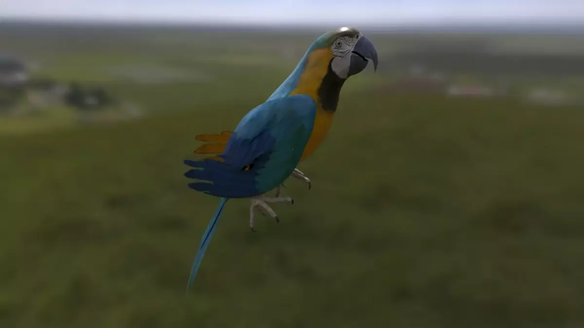 Parrot 3 with animations Low-poly 3D model