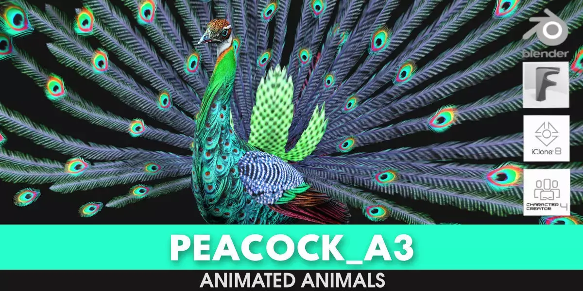 Peacock A3 3D model