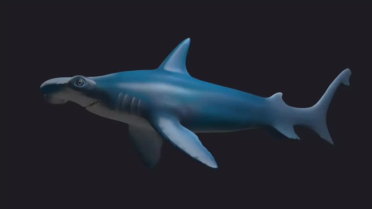 sea killers sea animals hammerhead hammer-head shark  3D model
