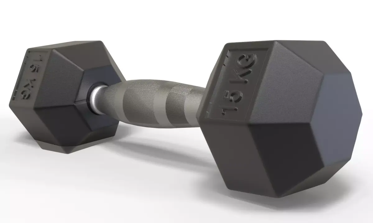 Dumbbells dumbbell 3D model
