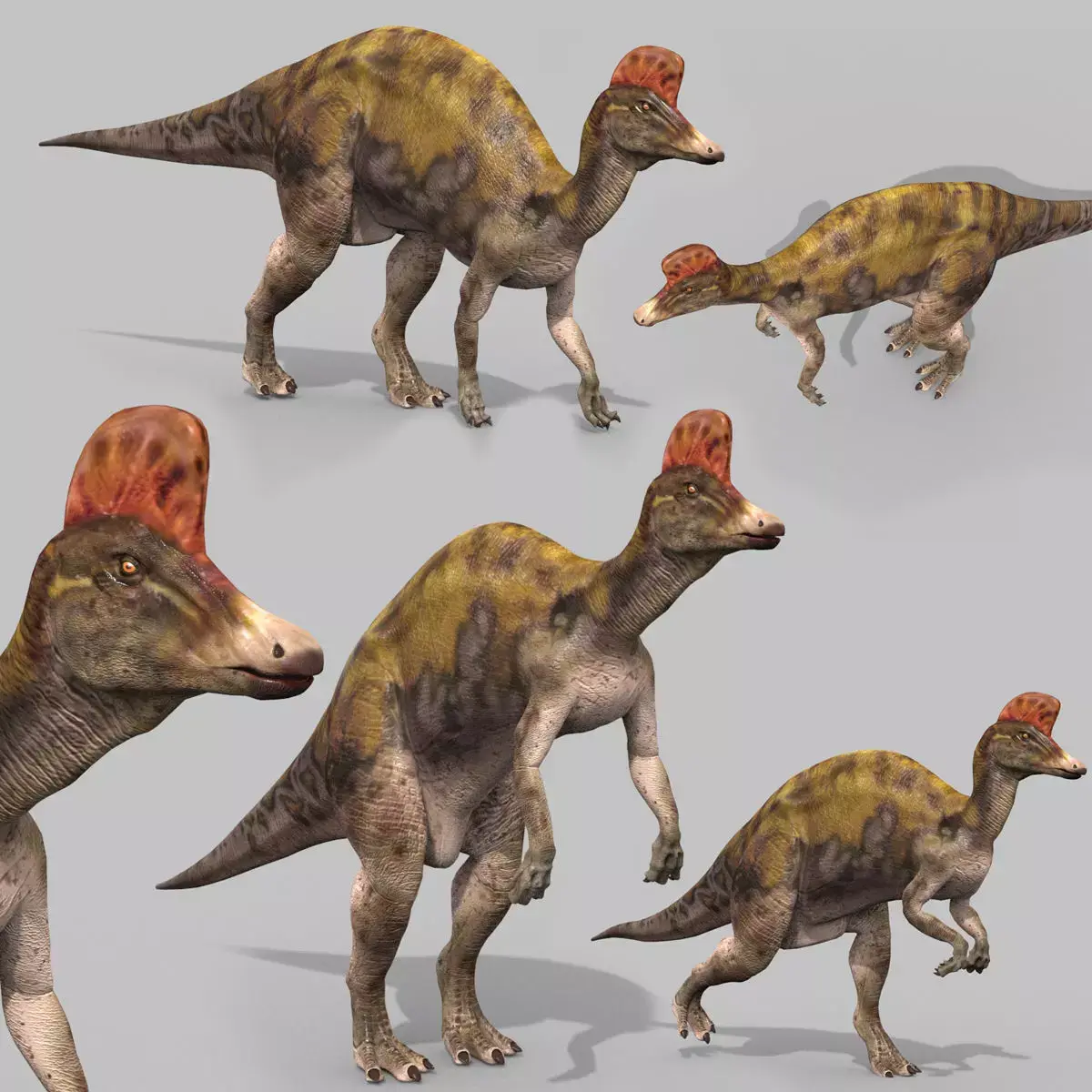 Real Animated Corythosaurus HD 3D model